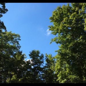 Meet your Posher, Amelia